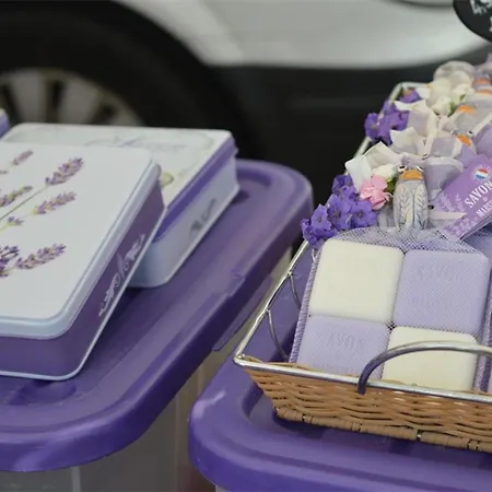 Recemment Renove De 2 Pieces Avec Balcon, Climatise, A 450m De La - - Fr-1-251-562 * 博尔马斯·莱斯·米默萨斯